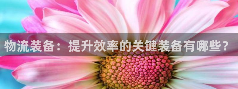 28圈的平台：物流装备：提升效率的关