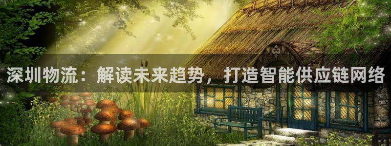 28圈免费：深圳物流：解读未来趋势，