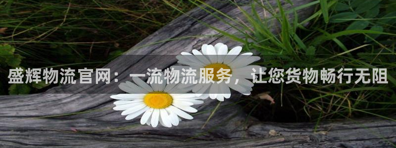 28圈网站平台是多少：盛辉物流官网：
