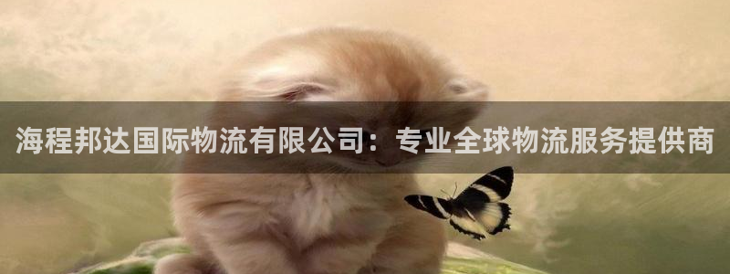 28圈如何退款：海程邦达国际物流有限