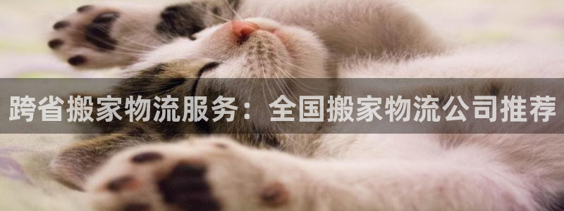 28圈注册教程：跨省搬家物流服务：全