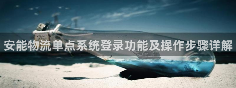28圈.ccm2024：安能物流单点