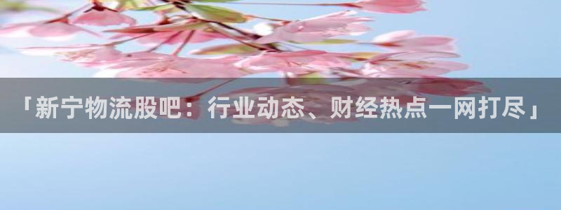 28圈怎么下载不了