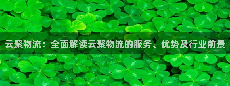 28圈哪个最赚钱