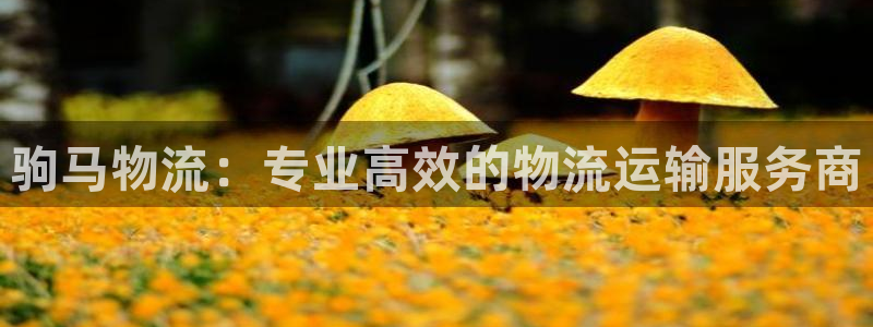 28圈怎么下载不了