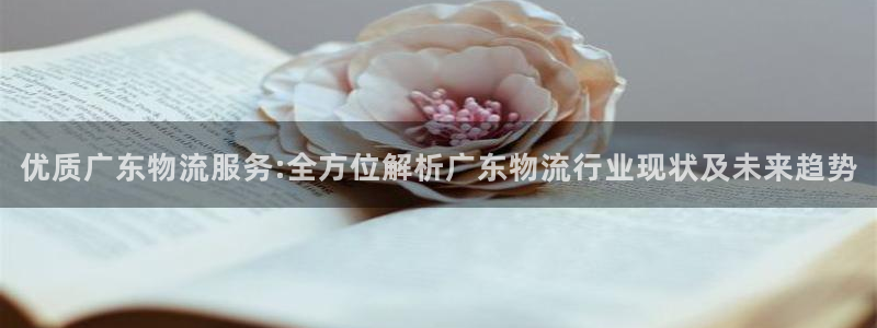 28圈女王中奖记录查询