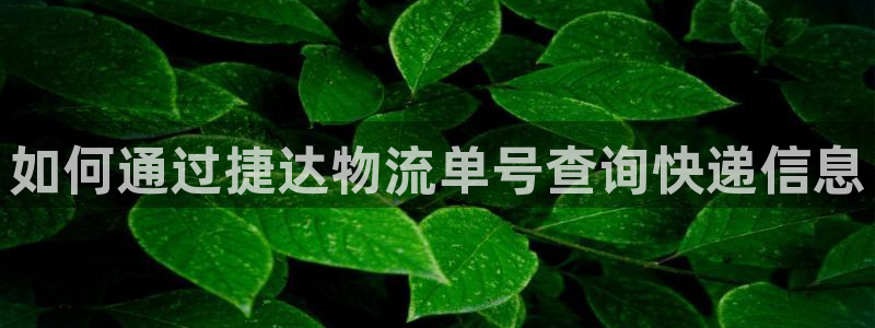 28圈官网平台下载