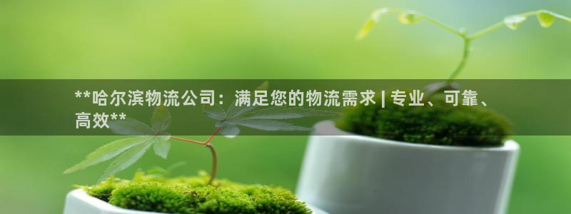 28圈官网网站