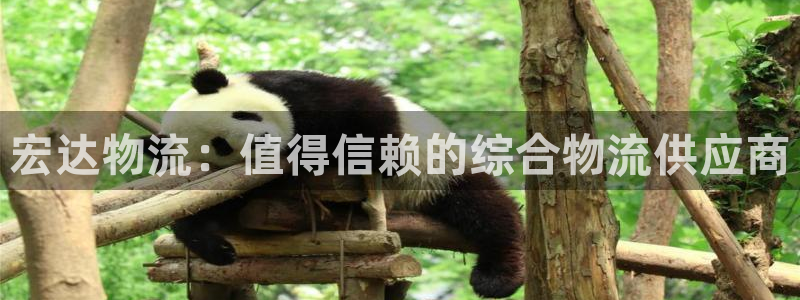 28圈官方网站