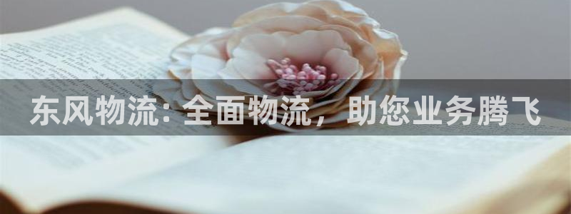 28圈怎么下载教程：东风物流: 全面