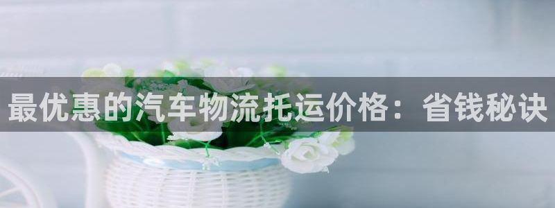 28圈app官网少林足球：最优惠的汽