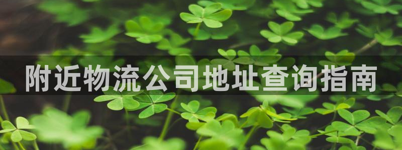 28圈网赌案件