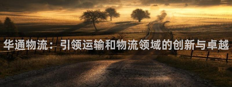28圈注册与教程：华通物流：引领运输