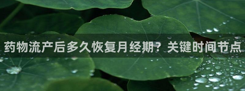 28圈提现不到账