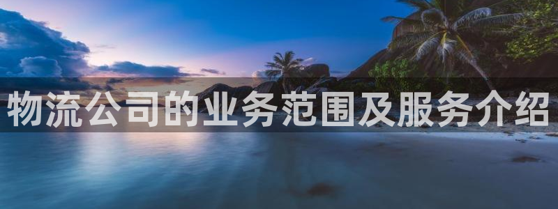 28圈大神预测