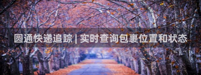 28圈预测
