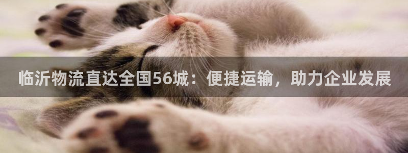 28圈和南宫28什么关系