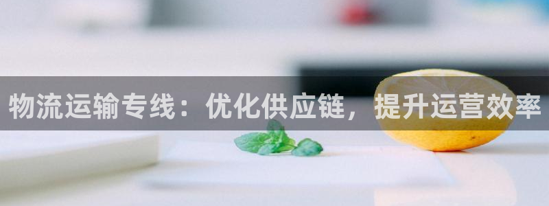 28圈模拟器下载