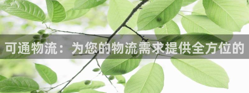 28圈吧