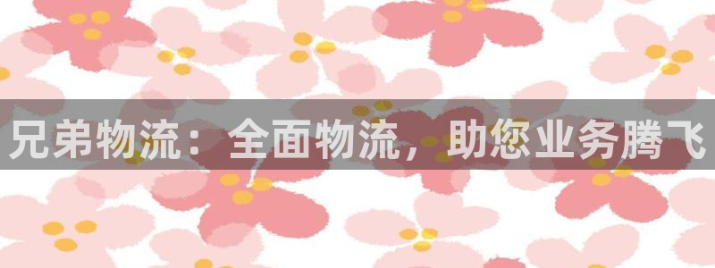 28圈登录网：兄弟物流：全面物流，助