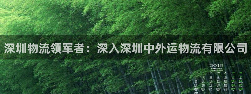 28圈官方平台