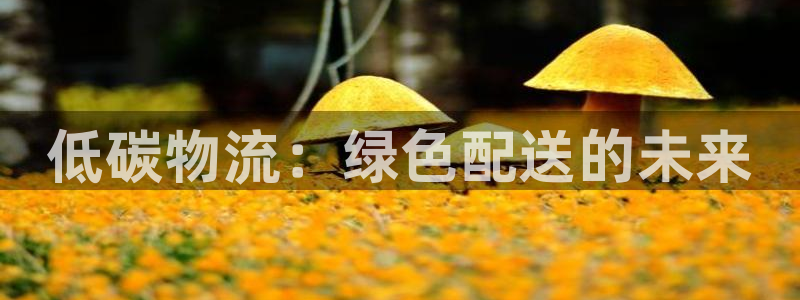 28圈能赢钱吗：低碳物流：绿色配送的