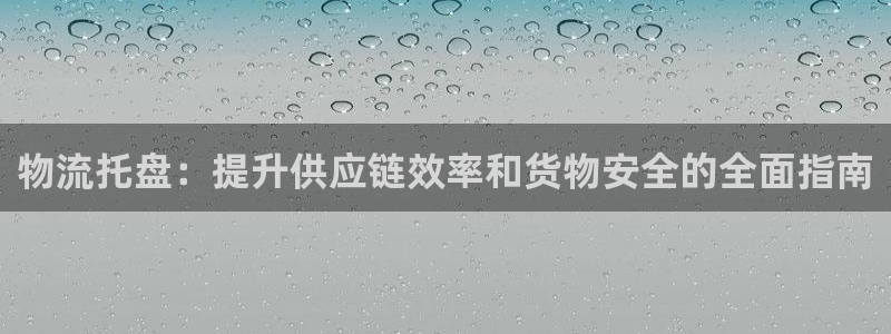 28圈软件：物流托盘：提升供应链效率