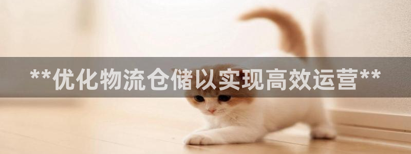 28圈技巧：**优化物流仓储以实现高