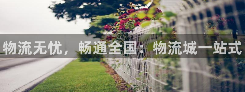 28圈cn