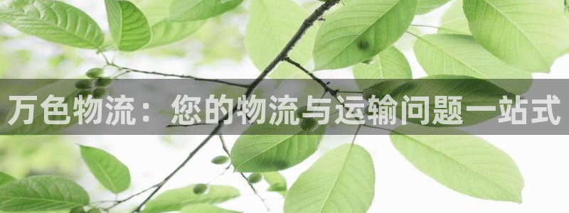 28圈预测