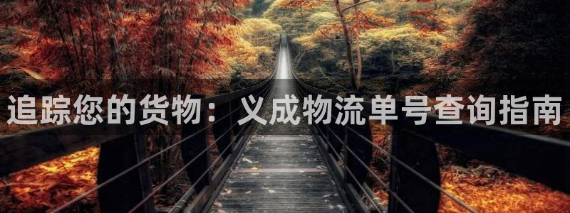 28圈防失联网址