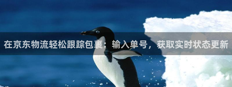 28圈注册网站链接是什么：在京东物流