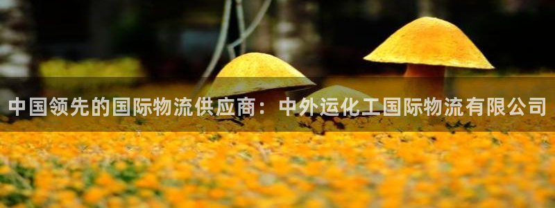 pc28圈怎么注册：中国领先的国际物