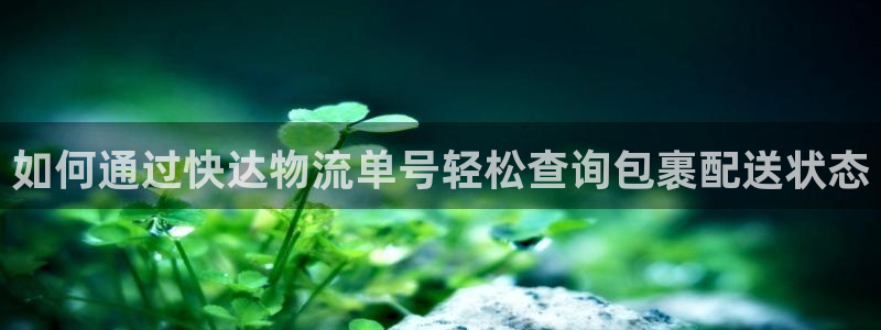 28圈官方平台