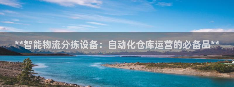 28圈游戏：**智能物流分拣设备：自