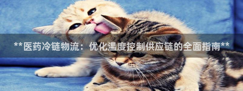 28圈返水怎么算的：**医药冷链物流