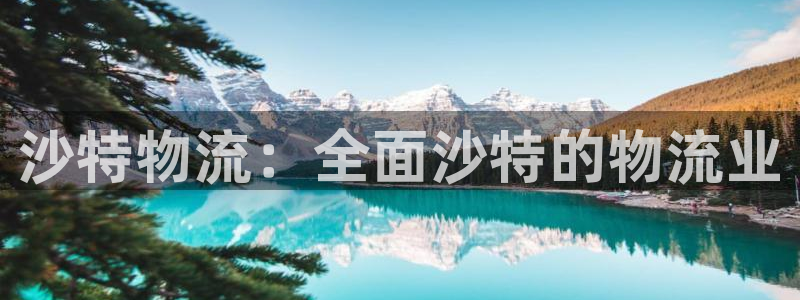28圈注册与教程：沙特物流：全面沙特