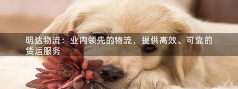 28圈加拿大app预测