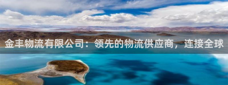 28圈注册网站多少钱：金丰物流有限公