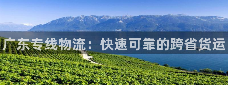 28圈pg如何退钱：广东专线物流：快