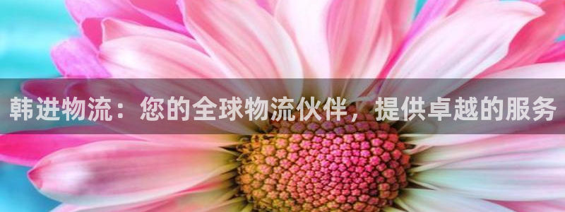 28圈初始资金密码是什么：韩进物流：