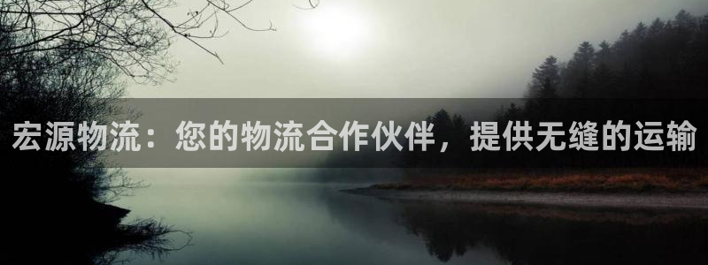 28圈APP是干什么的：宏源物流：您