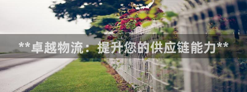 28圈app注册地址：**卓越物流：