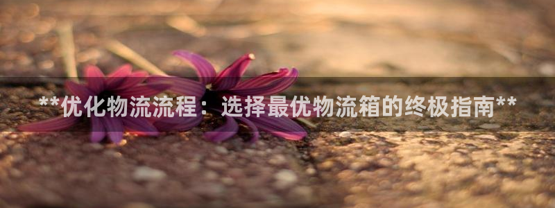 28圈注册问一问：**优化物流流程：
