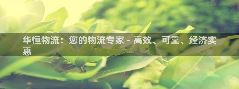 28圈的平台：华恒物流：您的物流专家