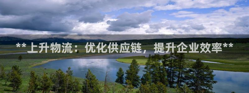 28圈麻将胡了在线试玩：**上升物流