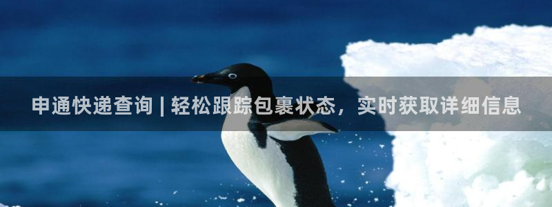 28圈下载体育：申通快递查询 | 轻