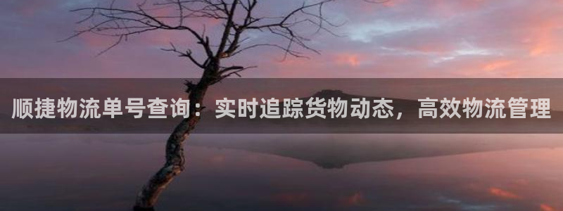 28圈相信品牌的力量：顺捷物流单号查