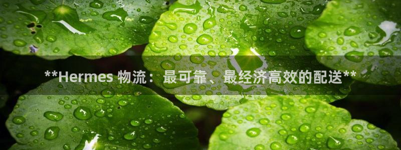28圈是啥