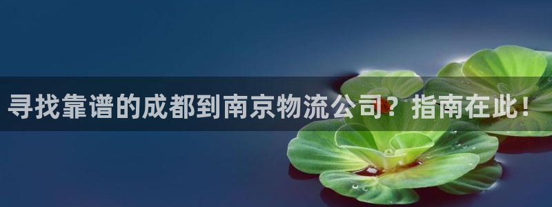 加拿大28圈是什么